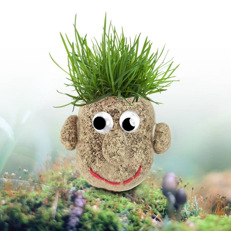 Graskopf Männchen von Monsterzeug