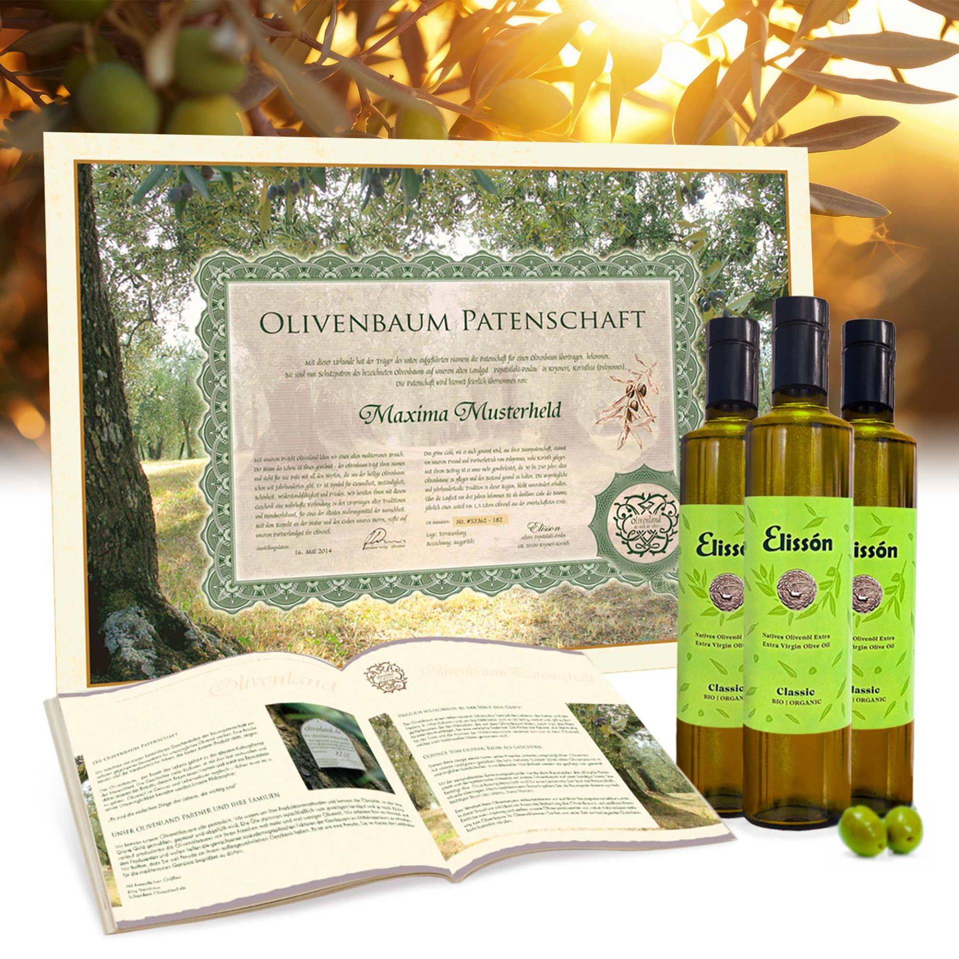 Olivenbaum Patenschaft Olivenbaum Patenschaft von Monsterzeug