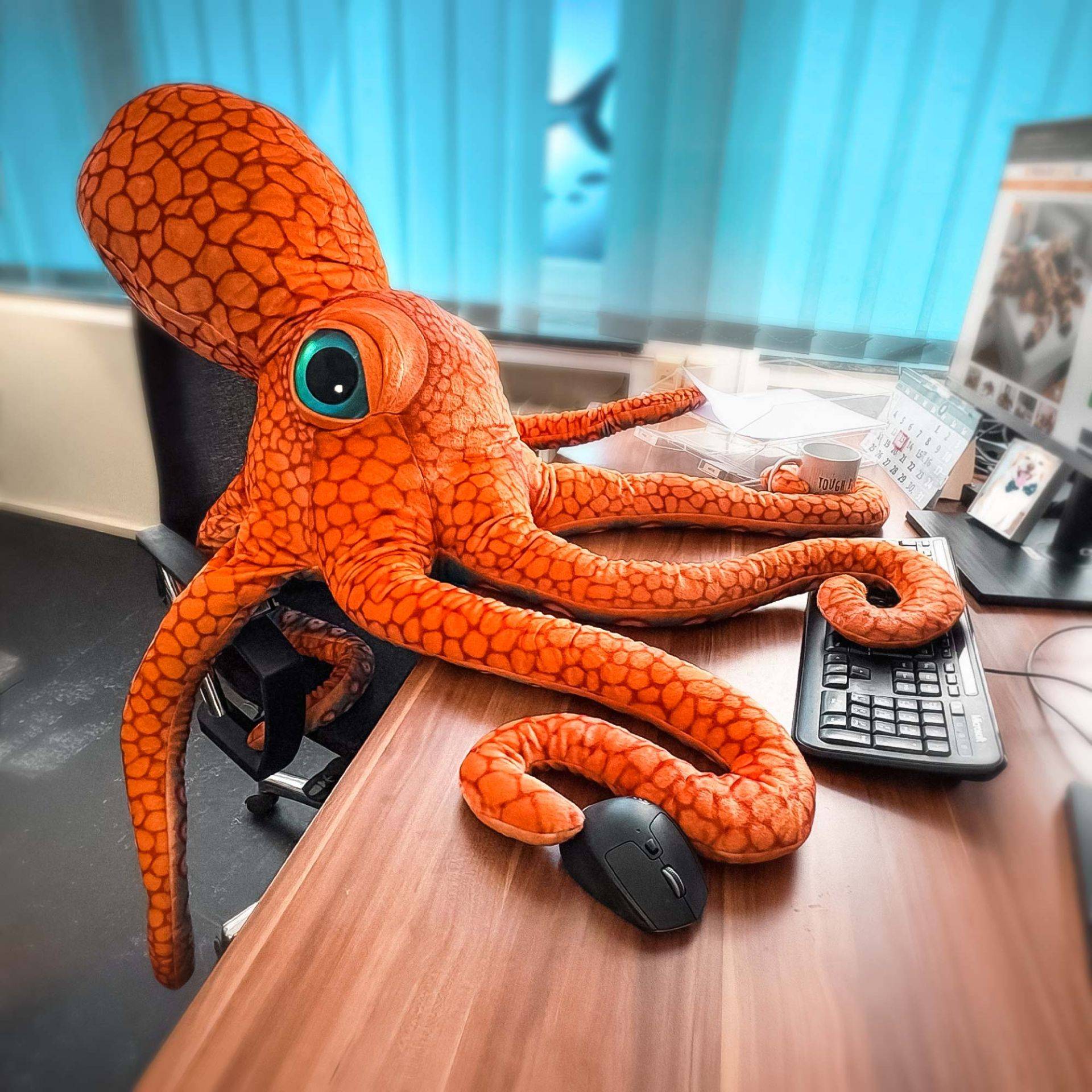 Riesen Oktopus - Kuscheltier & Kissen von Monsterzeug