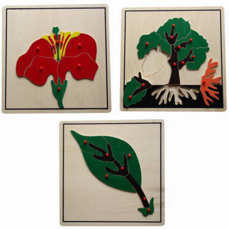 3 Montessori Pflanzen-Puzzle Biologisches Material um Blüte, Blatt und Baum zu entdecken von Montessori-Shop