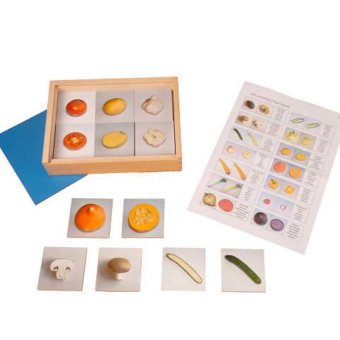 Zuordnungsspiel Gemüse, heimisches Gemüse mit Montessori-Material entdecken von Montessori-Shop