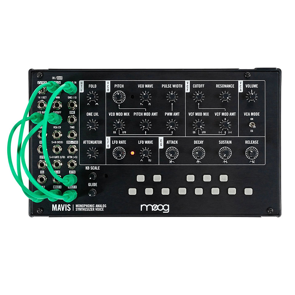 Moog Mavis Synthesizer von Moog