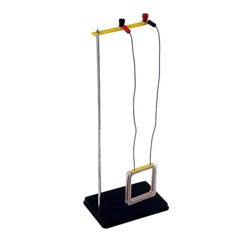 Interaktives Elektromagnetismus-Demonstrator-Set, Physik-Lehrhilfe für aktuelle Feldrichtung, Schule, Labor, Feldrichtungsmodell von Morain