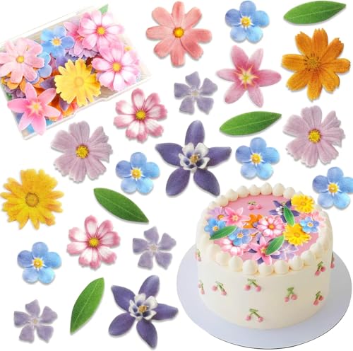 Morofme 60pcs essbare Blume Kuchen Dekorationen Wafer Papier Blumen Hawaiian Blume Blätter Kuchen Dekor Gänseblümchen Cupcake Topper gemischte Größe für bunte tropische Themen Baby Dusche Geburtstag Morofme 60pcs essbare Blume Kuchen Dekorationen Wafer Papier Blumen Hawaiian Blume Blätter Kuchen Dekor Gänseblümchen Cupcake Topper gemischte Größe für bunte tropische Themen Baby Dusche Geburtstag von Morofme