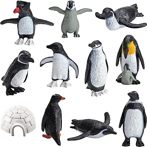 Morofme Realistische Pinguinfiguren Spielzeug 11pcs Kunststoff Polar Arktis Tierfiguren Antarktis Playset Winter Habitat Abenteuer Spielzeug Pinguin Kuchen Topper Polartier Lernspielzeug von Morofme