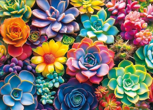 Moruska Sukkulenten-Puzzle, 1000 Teile, für Erwachsene, Farbverlauf, bunt, Sukkulenten, Puzzle, schöne Wanddekoration von Moruska