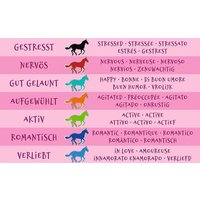 Pferde Stimmungsarmband von Moses Non Books