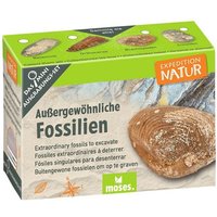 Expedition Natur Mini-Ausgrabungssets Expedition Natur Mini-Ausgrabungssets von Moses. Verlag GmbH
