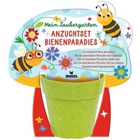 Mein Zaubergarten Anzuchtsets für Insektenfreunde von Moses. Verlag GmbH
