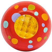 Mein Zaubergarten Insektenaugen von Moses. Verlag GmbH