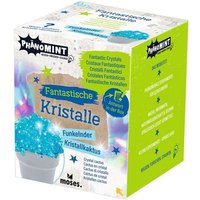 PhänoMINT Fantastische Kristalle PhänoMINT Fantastische Kristalle von Moses. Verlag GmbH