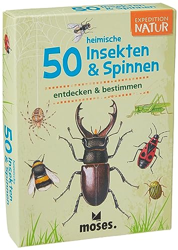 Moses 9723 Expedition Natur - 50 heimische Insekten und Spinnen| Bestimmungskarten im Set | Mit spannenden Quizfragen von moses