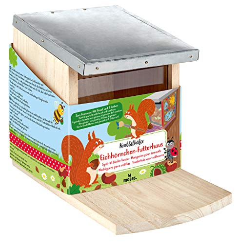 Krabbelkäfer Eichhörnchen-Futterhaus | Futterstation zum Anmalen und Selbstgestalten | Für Kinder von moses