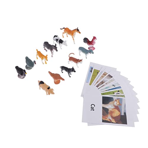 MotiveTech 12 Stücke Lernspielzeug Tierfiguren Modellkarten Material Pädagogisches Spielzeug für Kinder für Homeschooling Tierkunde, Bauernhof Tiere MotiveTech 12 Stücke Lernspielzeug Tierfiguren Modellkarten Material Pädagogisches Spielzeug für Kinder für Homeschooling Tierkunde, Bauernhof Tiere von MotiveTech