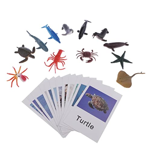 MotiveTech 12 Stücke Lernspielzeug Tierfiguren Modellkarten Material Pädagogisches Spielzeug für Kinder für Homeschooling Tierkunde, Meerestiere MotiveTech 12 Stücke Lernspielzeug Tierfiguren Modellkarten Material Pädagogisches Spielzeug für Kinder für Homeschooling Tierkunde, Meerestiere von MotiveTech