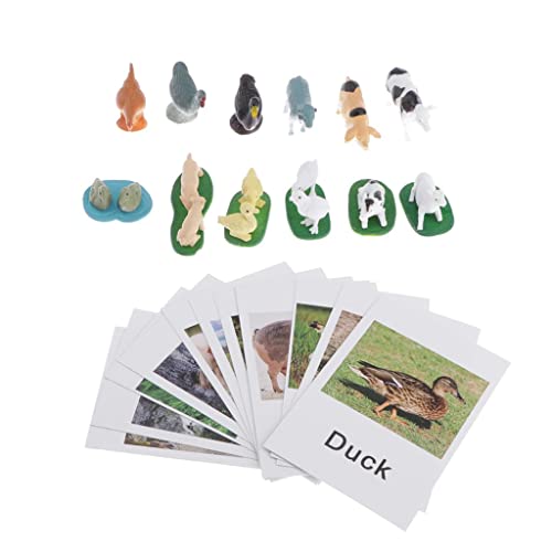 MotiveTech 12 Stücke Lernspielzeug Tierfiguren Modellkarten Material Pädagogisches Spielzeug für Kinder für Homeschooling Tierkunde, Nutztiere MotiveTech 12 Stücke Lernspielzeug Tierfiguren Modellkarten Material Pädagogisches Spielzeug für Kinder für Homeschooling Tierkunde, Nutztiere von MotiveTech