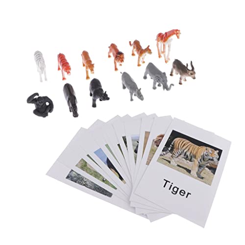 MotiveTech 12 Stücke Lernspielzeug Tierfiguren Modellkarten Material Pädagogisches Spielzeug für Kinder für Homeschooling Tierkunde, Wildtiere MotiveTech 12 Stücke Lernspielzeug Tierfiguren Modellkarten Material Pädagogisches Spielzeug für Kinder für Homeschooling Tierkunde, Wildtiere von MotiveTech
