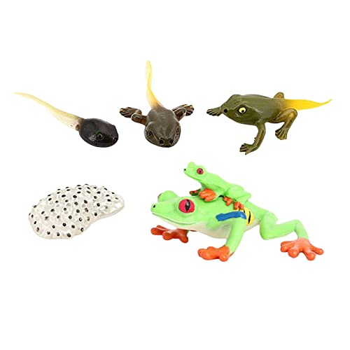 MotiveTech Lebenszyklus Figuren, Rotaugen Laubfrosch Figuren, Libellen Figuren, Biologie, Wissenschaft, Tierfiguren, Spielzeug für Kinder, Schreibtisch von MotiveTech