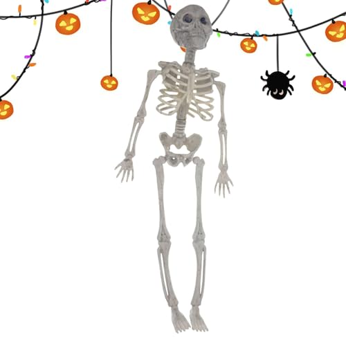 Mppchhn Bewegliche Skelett-Figur – Ganzkörper-Modell-Skelett mit beweglichen Gelenken | Figur für Halloween Requisiten Gruselige Partydekoration Mppchhn Bewegliche Skelett-Figur – Ganzkörper-Modell-Skelett mit beweglichen Gelenken | Figur für Halloween Requisiten Gruselige Partydekoration von Mppchhn