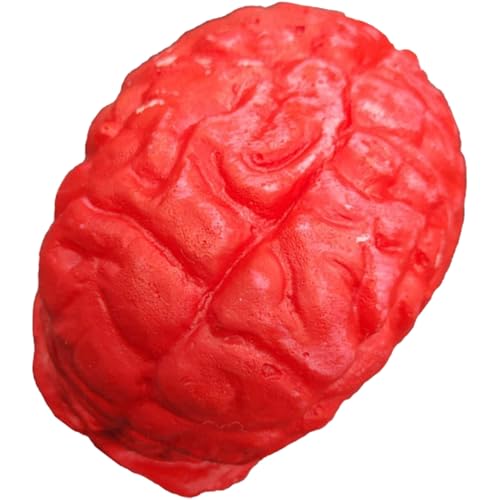 Mskmnkot Halloween Body Teile realistische Herzhirnkörperteile beängstigende Halloween -Requisiten für Streichparty Haunted House Dekoration, Gehirn Mskmnkot Halloween Body Teile realistische Herzhirnkörperteile beängstigende Halloween -Requisiten für Streichparty Haunted House Dekoration, Gehirn von Mskmnkot