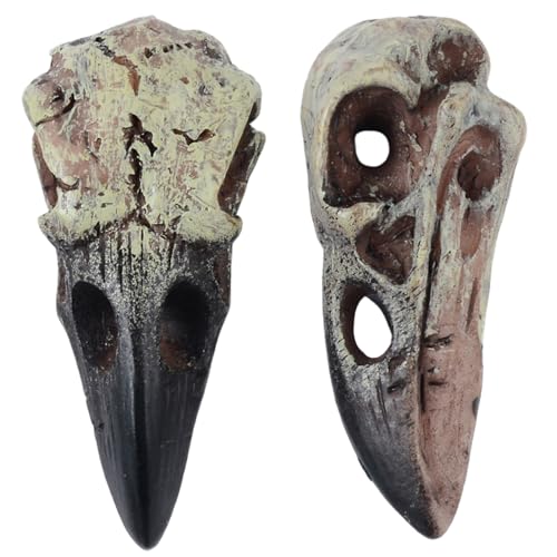 Mskmnkot Raven Statue, 2pcs Simulation Raven Skull Halskette, Gothic Crow Head Wall Hanging Decor für Schmuck, Schwarz Mskmnkot Raven Statue, 2pcs Simulation Raven Skull Halskette, Gothic Crow Head Wall Hanging Decor für Schmuck, Schwarz von Mskmnkot