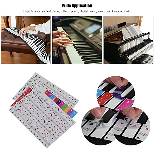Mtlavistische Klavier -Tastaturaufkleber farbenfroh abnehmbar für Kinder Anfänger Klavier Übung Lernen für 37 49 61 88 Schlüsselkeyboards aus PVC -Material mit musikalischer (Style 3) von Mtlavishness