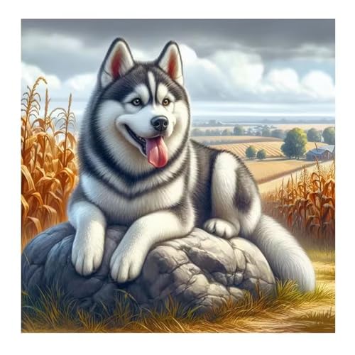 Feldhund Puzzle 90 Teile, Impossible Puzzles Erwachsene 90 Teile, Lernspiel Herausforderung Spielzeug, Farbenfrohes Legespiel für Home Dekoration von Muaor