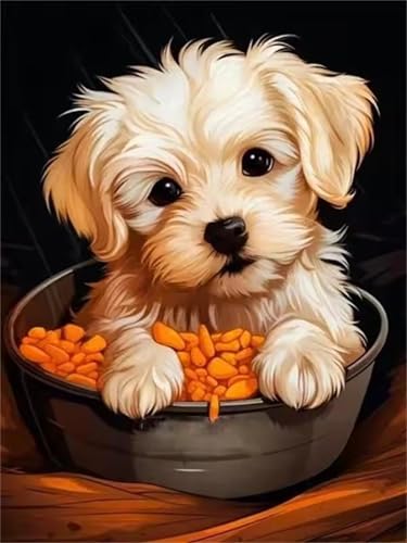 Puzzle 90 Teile für Erwachsene Weißer Hund aus Metall, Unmöglich Schwer Schwierig Herausfordernd Puzzles, Geschicklichkeitsspiel für die ganze Familie Puzzle 90 Teile für Erwachsene Weißer Hund aus Metall, Unmöglich Schwer Schwierig Herausfordernd Puzzles, Geschicklichkeitsspiel für die ganze Familie von Muaor