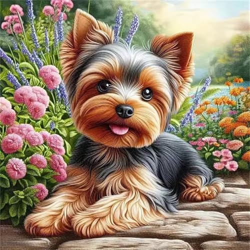 Puzzle für Erwachsene 500 Teile Flauschige Hundeblume, DIY Kreative Unterhaltung, Spaß, Klassisches Puzzles für Erwachsene Lernspiel Spielzeug Geschenk Jigsaw Puzzle 500 Teile Puzzle für Erwachsene 500 Teile Flauschige Hundeblume, DIY Kreative Unterhaltung, Spaß, Klassisches Puzzles für Erwachsene Lernspiel Spielzeug Geschenk Jigsaw Puzzle 500 Teile von Muaor
