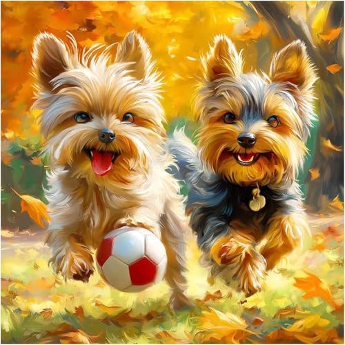 Puzzle für Erwachsene 500 Teile Rasen Fußball Hund, DIY Kreative Unterhaltung, Spaß, Klassisches Puzzles für Erwachsene Lernspiel Spielzeug Geschenk Jigsaw Puzzle 500 Teile Puzzle für Erwachsene 500 Teile Rasen Fußball Hund, DIY Kreative Unterhaltung, Spaß, Klassisches Puzzles für Erwachsene Lernspiel Spielzeug Geschenk Jigsaw Puzzle 500 Teile von Muaor