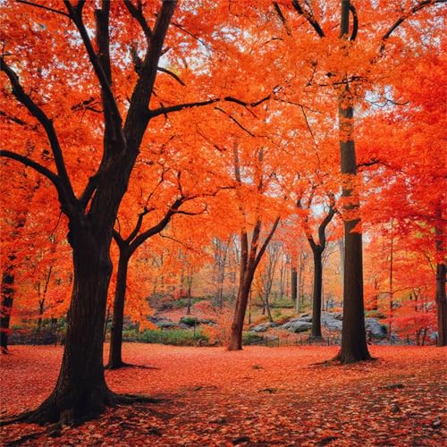 Puzzle für Erwachsene 500 Teile Roter Ahornbaum, DIY Kreative Unterhaltung, Spaß, Klassisches Puzzles für Erwachsene Lernspiel Spielzeug Geschenk Jigsaw Puzzle 500 Teile Puzzle für Erwachsene 500 Teile Roter Ahornbaum, DIY Kreative Unterhaltung, Spaß, Klassisches Puzzles für Erwachsene Lernspiel Spielzeug Geschenk Jigsaw Puzzle 500 Teile von Muaor