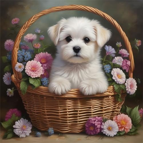 Puzzle für Erwachsene 500 Teile Weiße Hundeblume, DIY Kreative Unterhaltung, Spaß, Klassisches Puzzles für Erwachsene Lernspiel Spielzeug Geschenk Jigsaw Puzzle 500 Teile von Muaor