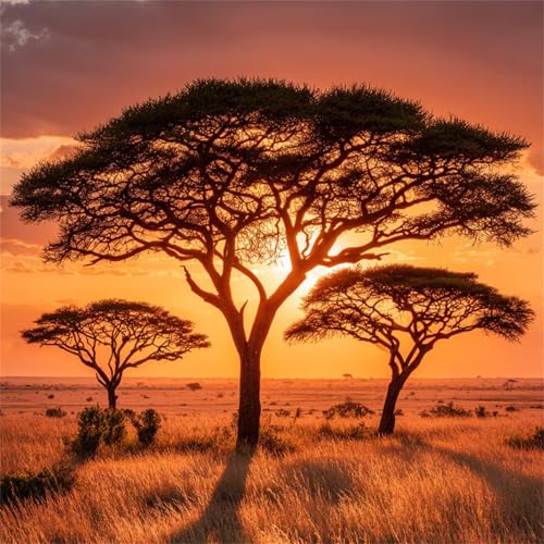 Sunset Grasland Puzzle 90 Teile, Impossible Puzzles Erwachsene 90 Teile, Lernspiel Herausforderung Spielzeug, Farbenfrohes Legespiel für Home Dekoration Sunset Grasland Puzzle 90 Teile, Impossible Puzzles Erwachsene 90 Teile, Lernspiel Herausforderung Spielzeug, Farbenfrohes Legespiel für Home Dekoration von Muaor