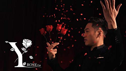 Y-Rose 2.0 von Mr. Y & Bond Lee, Zaubertrick, Bühne von Murphy's Magic Supplies, Inc.