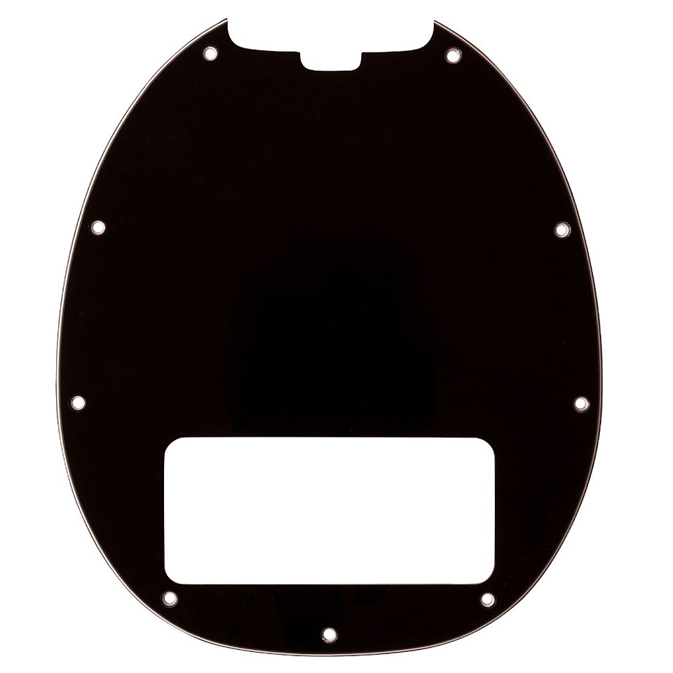 Music Man Pickguard StingRay 5 Classic Black Matte Pickguard Music Man Pickguard StingRay 5 Classic Black Matte Pickguard von Music Man