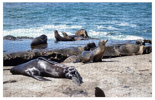 Sea Lions Sitting on Rocks at The Beach Wooden Puzzles for Adults 1000 Piece Jigsaw Puzzles La Jolla Cove in San Diego California Puzzle 76.2 cmx 50.8 cm von Muyankissu