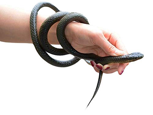 Muzboo Realistische Kunstschlange, 119,4 cm, weiches Gummi, Mamba-Schlangen-Spielzeug, Gartenrequisiten, lustige Halloween-Streiche Dekorationen Muzboo Realistische Kunstschlange, 119,4 cm, weiches Gummi, Mamba-Schlangen-Spielzeug, Gartenrequisiten, lustige Halloween-Streiche Dekorationen von Muzboo