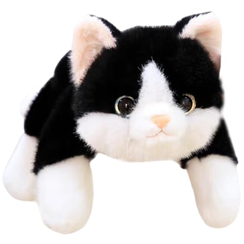 Muzrunq Gewichteter Plüsch, 11, 8 Zoll niedliche gewichtete Katze gefüllt Tier PP Baumwolle gefülltes Katzenpuppe Weichkätzchen Umarmende Kissen Geschenke für Kinder Erwachsene Weihnachten Schwarz Muzrunq Gewichteter Plüsch, 11, 8 Zoll niedliche gewichtete Katze gefüllt Tier PP Baumwolle gefülltes Katzenpuppe Weichkätzchen Umarmende Kissen Geschenke für Kinder Erwachsene Weihnachten Schwarz von Muzrunq