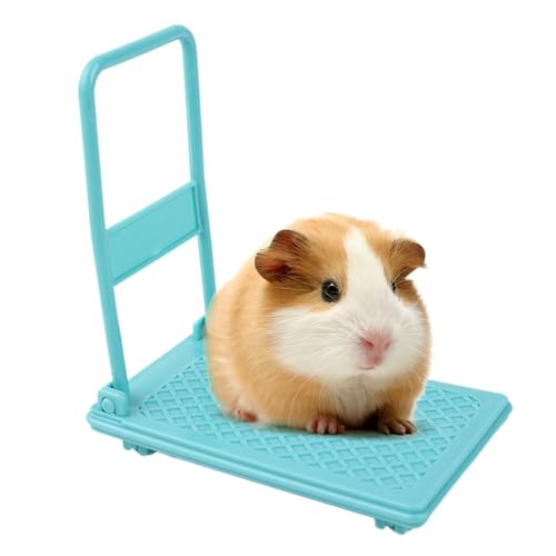 Hamsterwagen-Spielzeug, Kleintierspielzeug, Hamster-Anreicherungsspielzeug, Foto-Requisiten, Hamsterspielzeug, Chinchilla-Bett, Haustierspielzeug, Hamsterkäfig-Zubehör, Wagen, Chinchilla-Bett, Hamsterwagen-Spielzeug, Kleintierspielzeug, Hamster-Anreicherungsspielzeug, Foto-Requisiten, Hamsterspielzeug, Chinchilla-Bett, Haustierspielzeug, Hamsterkäfig-Zubehör, Wagen, Chinchilla-Bett, von Mwkbbn