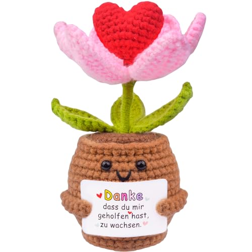 Mwmoeen Dankeschön Geschenke Positive Blumen, Glücksbringer Gestrickte Blumen Danke Geschenke für Freunde Kollegen und Famili, Positive Pocket Hug Kartoffel Deutsch Ersatz Mwmoeen Dankeschön Geschenke Positive Blumen, Glücksbringer Gestrickte Blumen Danke Geschenke für Freunde Kollegen und Famili, Positive Pocket Hug Kartoffel Deutsch Ersatz von Mwmoeen