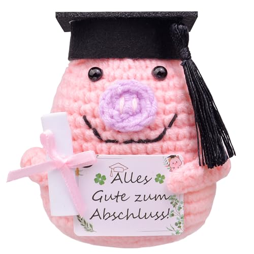 Mwmoeen Glücksschweinchen Bachelor Geschenk 2025, Positive Geschenke Schwein, Pocket Hug Gestricktes Schwein, Glücksbringer Prüfung Geschenk, Schultüte, Master Abschluss Geschenk von Mwmoeen