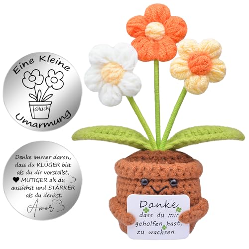 Mwmoeen Pocket Hug Positive Blume, Kreative Strickwolle Positive Kartoffe und Kleine Umarmung Glücksbringer, Mutmacher Geschenk, Graduierung Geschenk, Beste Freundin Kleine Geschenke für Frauen von Mwmoeen