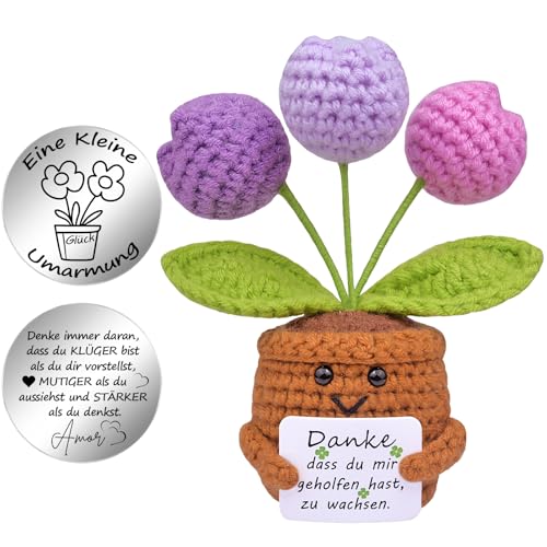 Mwmoeen Pocket Hug Positive Blume, Kreative Strickwolle Positive Kartoffe und Kleine Umarmung Glücksbringer, Mutmacher Geschenk, Graduierung Geschenk, Beste Freundin Kleine Geschenke für Frauen von Mwmoeen