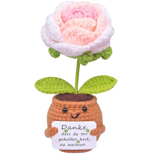 Mwmoeen Pocket Hug Positive Blume Geschenke, Kreative Strickwolle Positive Die Rose, Positive Kartoffel Mutmacher Geschenk, Geschenk zum Abschluss, Beste Freundin Geschenke für Freundin von Mwmoeen