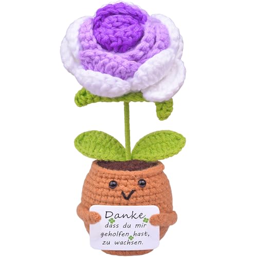 Mwmoeen Pocket Hug Positive Blume Geschenke, Kreative Strickwolle Positive Die Rose, Positive Kartoffel Mutmacher Geschenk, Geschenk zum Abschluss, Beste Freundin Geschenke für Freundin Mwmoeen Pocket Hug Positive Blume Geschenke, Kreative Strickwolle Positive Die Rose, Positive Kartoffel Mutmacher Geschenk, Geschenk zum Abschluss, Beste Freundin Geschenke für Freundin von Mwmoeen