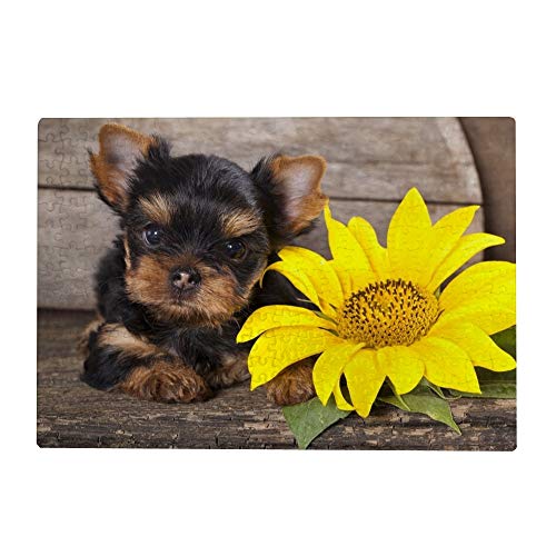300 Teile Puzzle für Erwachsene – Yorkshire Terrier Welpe Sonnenblume 300 Teile Puzzle für Erwachsene – Yorkshire Terrier Welpe Sonnenblume von My Daily