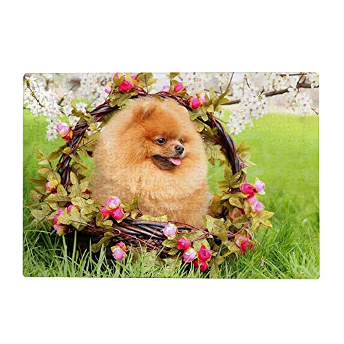 300 Teile Puzzles für Erwachsene - Pomeranian Dog Flowers von My Daily