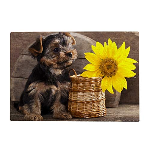 500 Teile Puzzle für Erwachsene – Yorkshire Terrier Welpe Hund Sonnenblume von My Daily