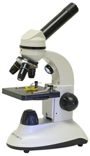 C & A Scientific MFL-06 My First Lab Duo-Scope C & A Scientific MFL-06 My First Lab Duo-Scope von My First Lab
