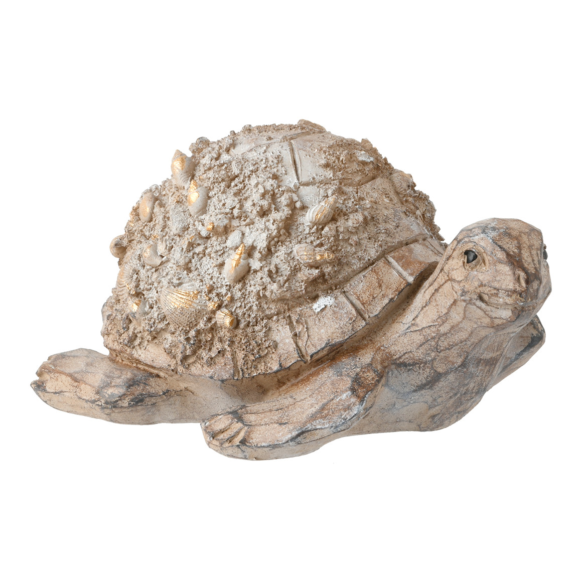 Deko-Schildkröte mit Muscheln Deko-Schildkröte mit Muscheln von My Home